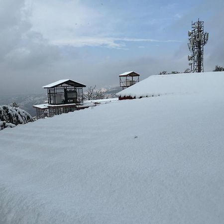 Hotel Jakhu Heights Shimla Exterior foto