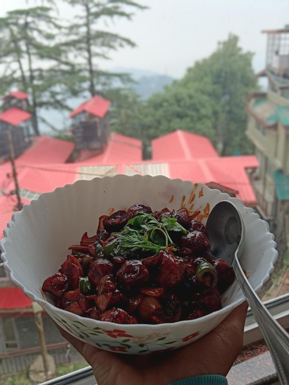 Hotel Jakhu Heights Shimla Exterior foto